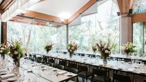 Environmental impact of traditional event supplies